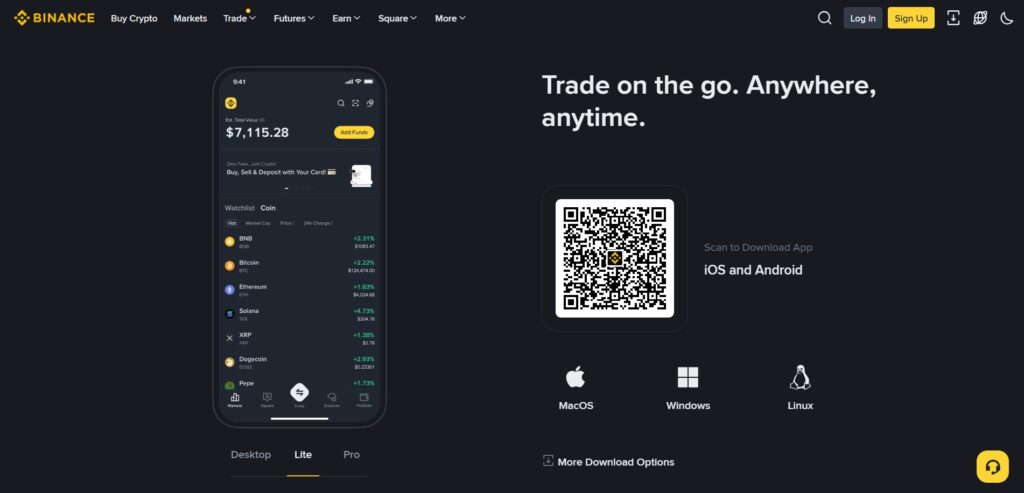 Binance Interface